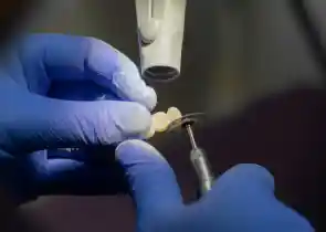 Nouveaux protocoles pour solutions numériques